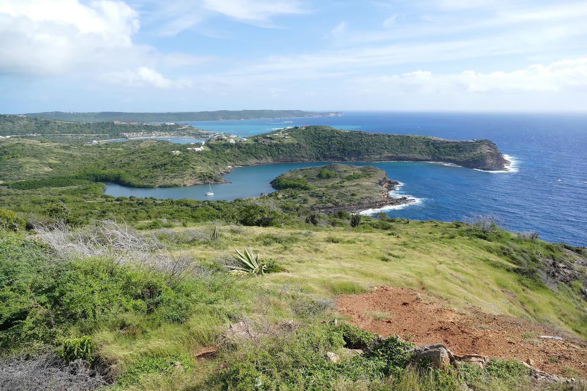 Vista aérea de bahías verdes y aguas azules en la costa de Antigua